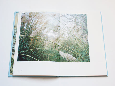 Fifty High Seasons, Shane Lynam - The Library Project