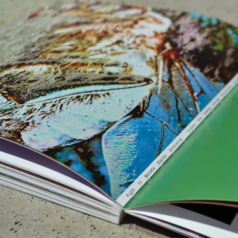 HYBRIDS: Forging New Realities as Counter-Narrative