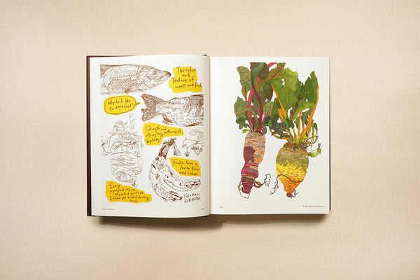 Palate Palette: Tasty Illustrations from Around the World