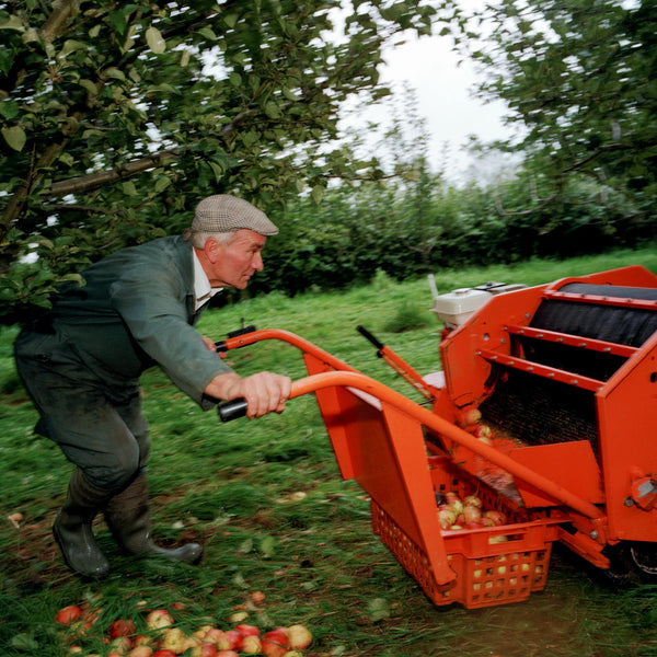 A Year in the Life of Chew Stoke Village, Martin Parr