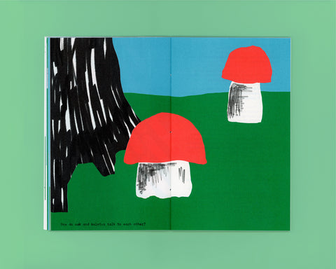 Among Oak, Nóra Békés and Mark Stephen Mullee