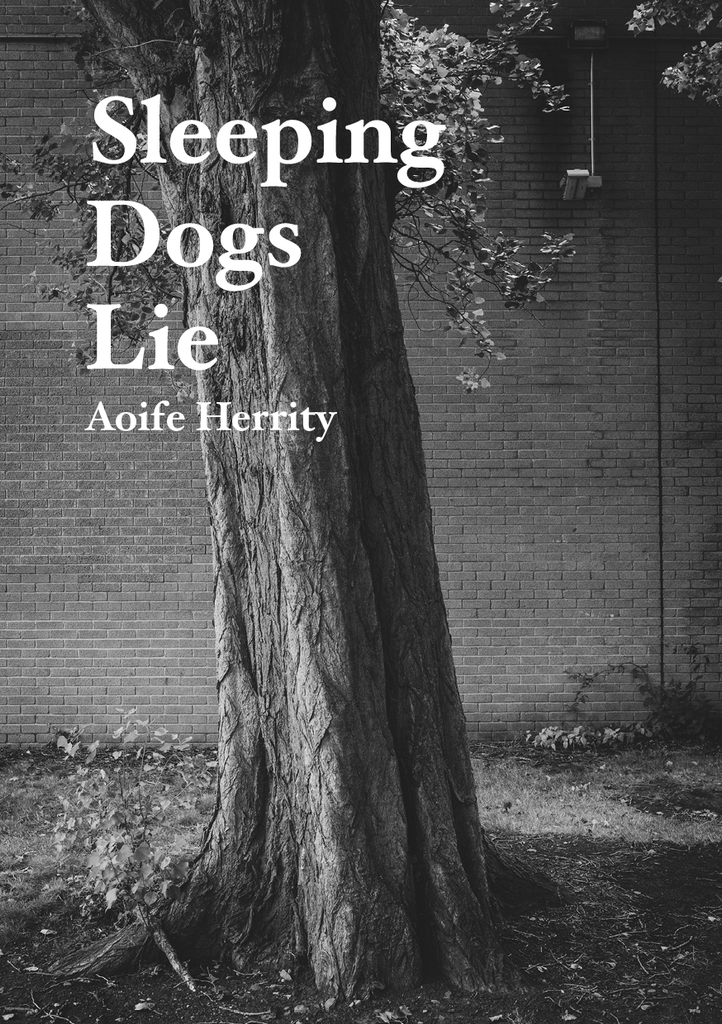 Schlafende Hunde lügen, Aoife Herrity
