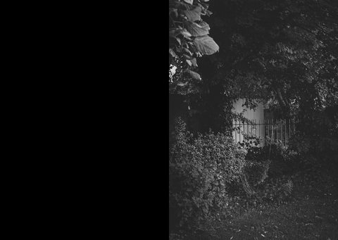 Sleeping Dogs Lie, Aoife Herrity