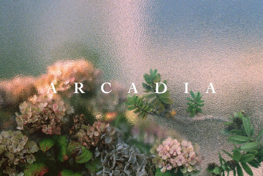 Arcadia, Ian Howorth - The Library Project