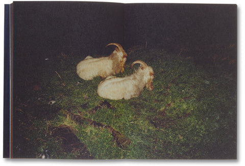 I went to the worst of bars, Ciarán Óg Arnold - The Library Project