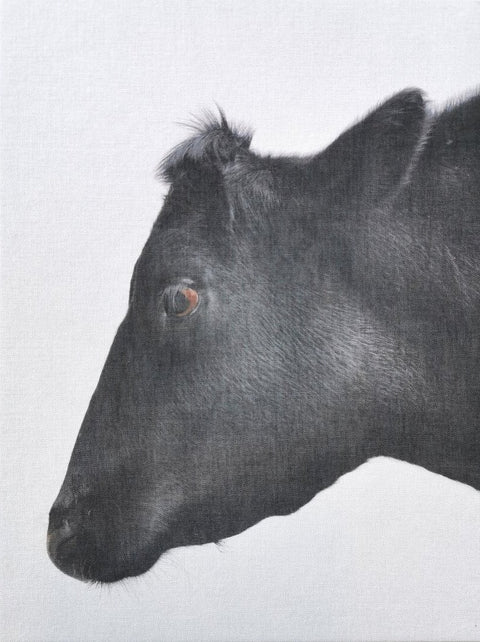 Beasts of Burden, Paul Seawright