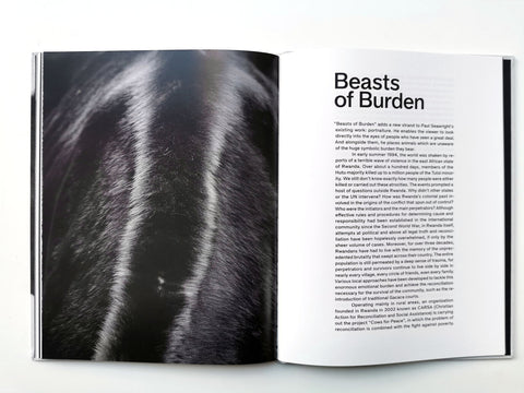 Beasts of Burden, Paul Seawright