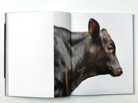 Beasts of Burden, Paul Seawright