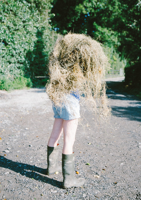 Becks Butler, 100 vistes de l'Irlanda contemporània