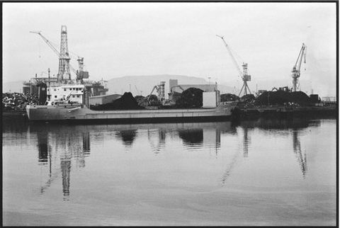 Belfast Docks, Ricky Adam