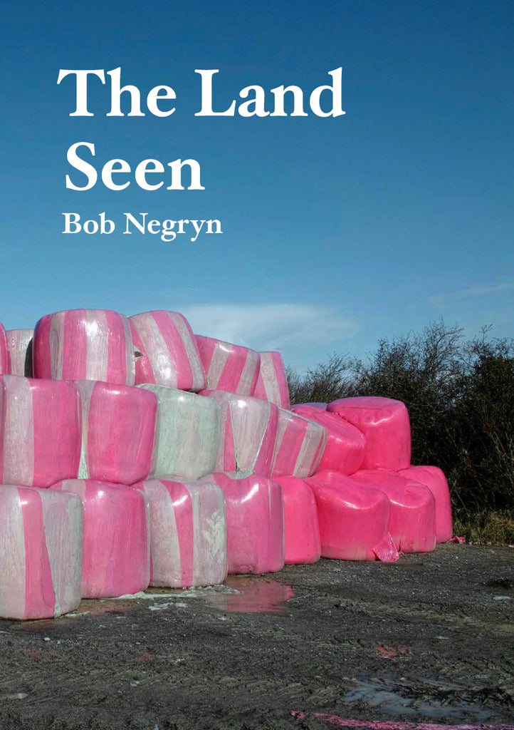 Das gesehene Land, Bob Negryn