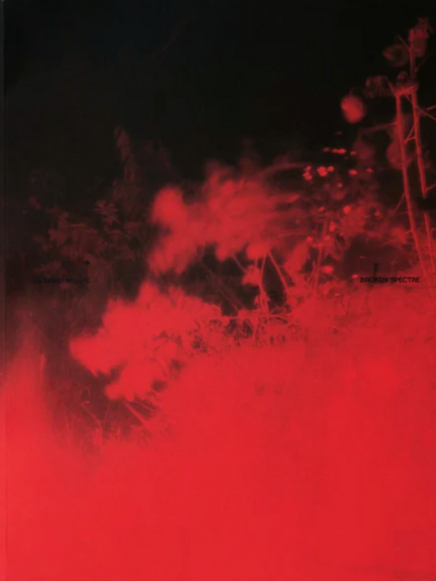 Broken Spectre, Richard Mosse