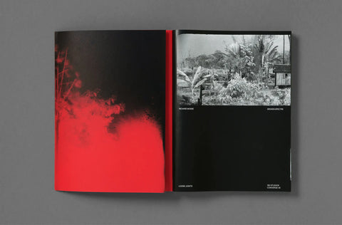 Broken Spectre, Richard Mosse