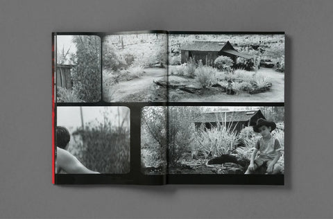 Broken Spectre, Richard Mosse