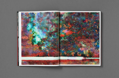 Broken Spectre, Richard Mosse