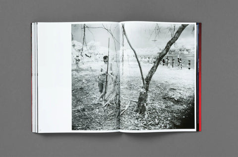 Broken Spectre, Richard Mosse