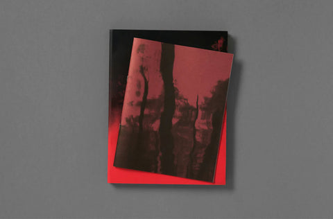 Broken Spectre, Richard Mosse