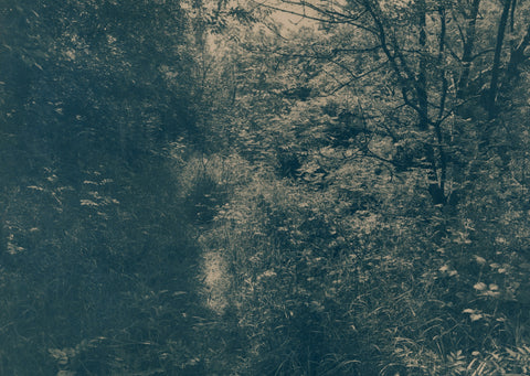 A Well Trodden Path, Caitriona Dunnett