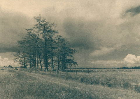 A Well Trodden Path, Caitriona Dunnett