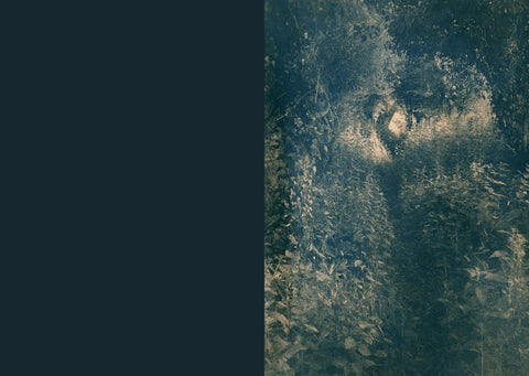 A Well Trodden Path, Caitriona Dunnett