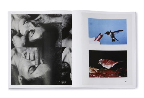 Arrangements, Carmen Winant