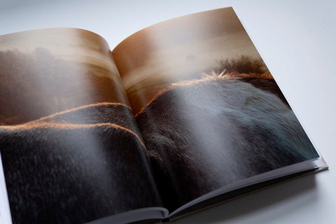 Cowspines, Kate Kirkwood