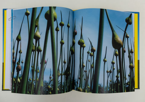 Pandemic Spring, Gregory Dunn (Signed)