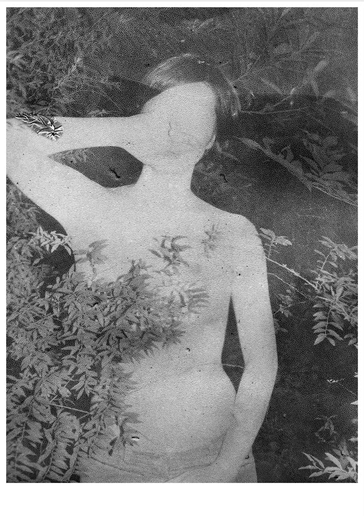 Ohne Titel, Daisuke Yokota