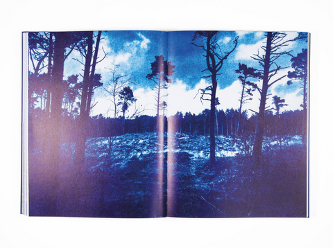 Depravity's Rainbow, Lewis Bush