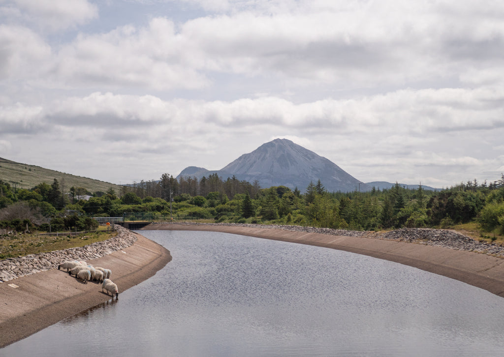 Ellie Berry, 100 Views of Contemporary Ireland