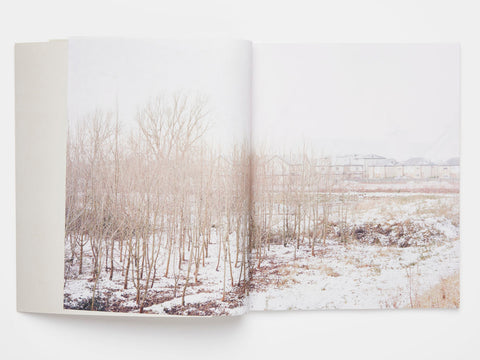 Enda Bowe, At Mirrored River - The Library Project