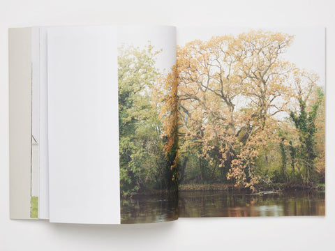 Enda Bowe, At Mirrored River - The Library Project