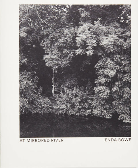 Enda Bowe, At Mirrored River - The Library Project