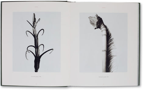 The Photography of Nature and the Nature of Photography, Joan Fontcuberta - The Library Project