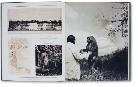The Photography of Nature and the Nature of Photography, Joan Fontcuberta - The Library Project
