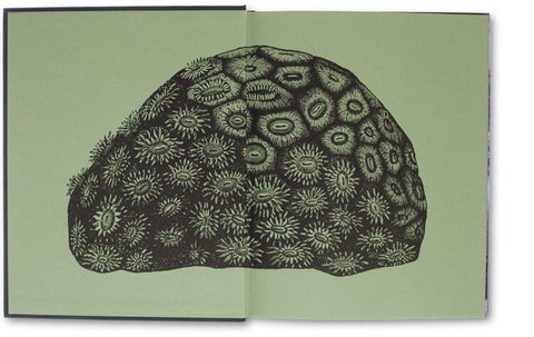 The Photography of Nature and the Nature of Photography, Joan Fontcuberta - The Library Project