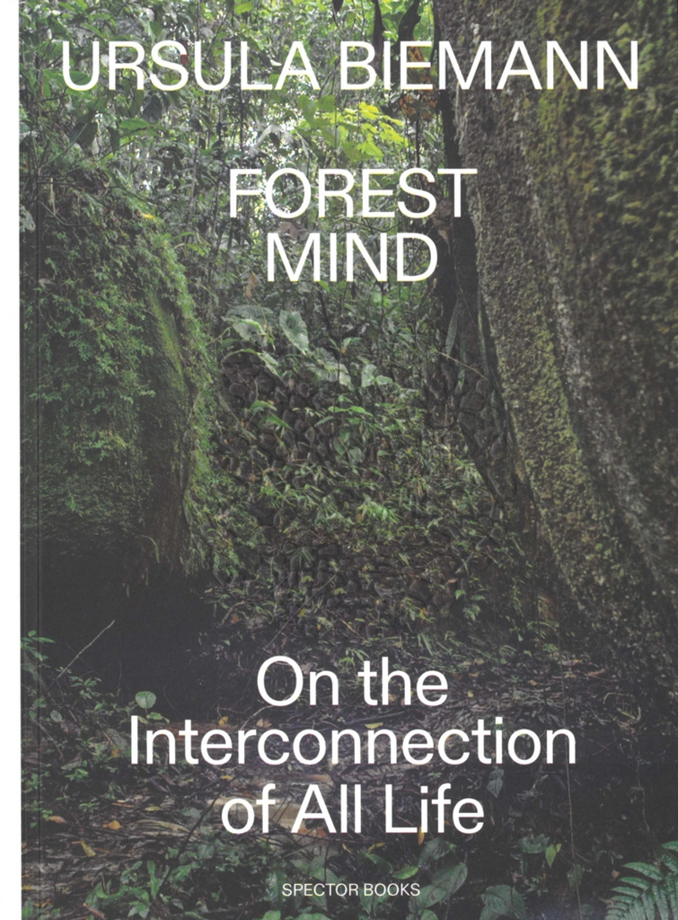 Forest Mind, Ursula Biemann