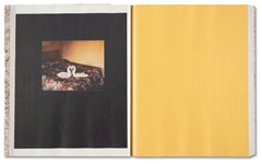 Gathered Leaves Annotated, Alec Soth – The Library Project