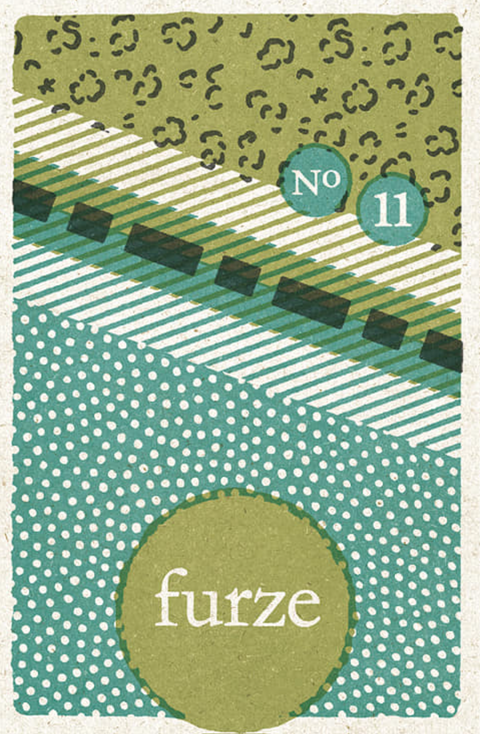 Gorse 11