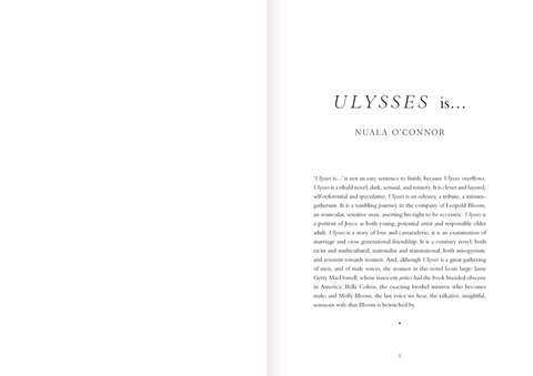 Images, Divine & Human: Following Ulysses, Deirdre Brennan