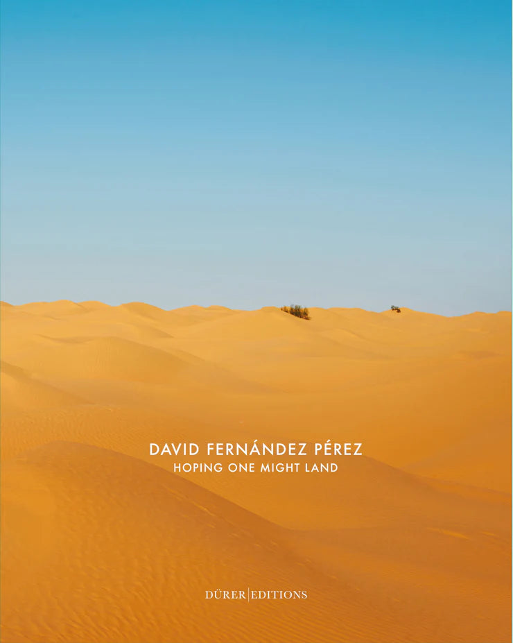 „Hoping One Might Land“, David Fernández Pérez