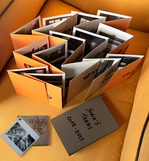 Sonia's Trees (2018-2021), Letizia Lopreiato