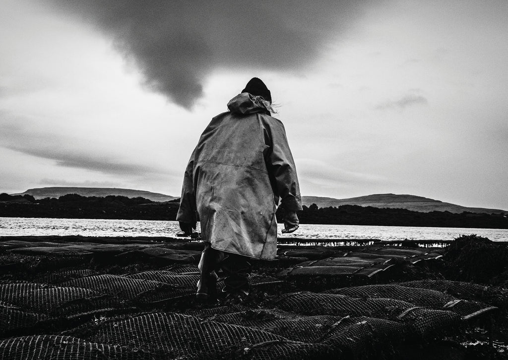 Louise Wallace, 100 Views of Contemporary Ireland