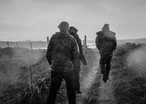 Mark McGuinness, 100 vistes de l'Irlanda contemporània