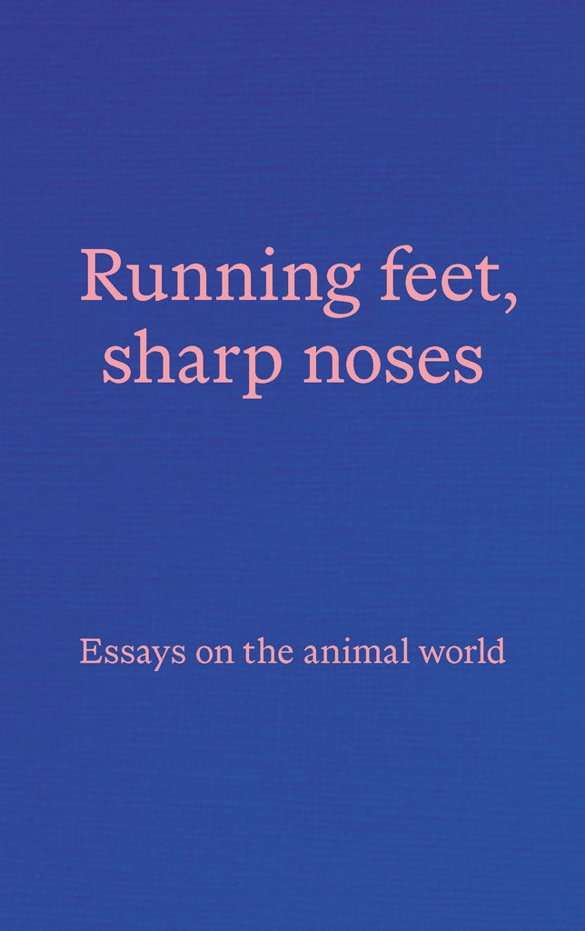 Laufende Füße, scharfe Nasen: Essays über die Tierwelt 