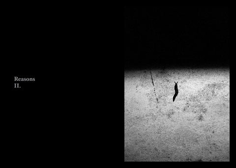 Reasons, Cristina Gismondi