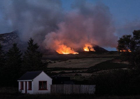 Róisín White, 100 vistes de l'Irlanda contemporània
