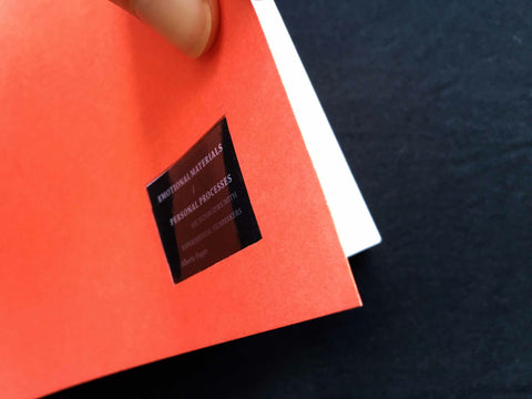 SE – 19 Emotional Materials/Personal Processes