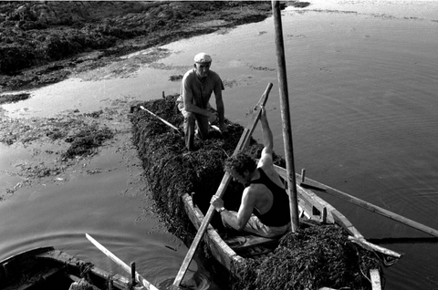 Obair Chrua Inis Mhic Cionnaith 1991, Joe Sterling