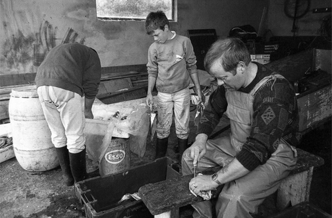 Obair Chrua Inis Mhic Cionnaith 1991, Joe Sterling